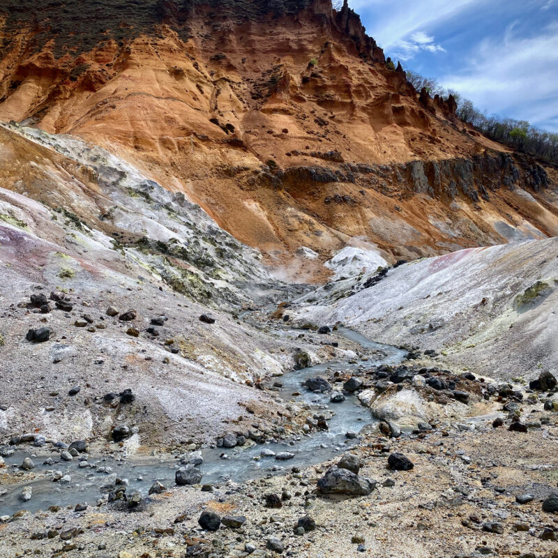 Boiling Flows