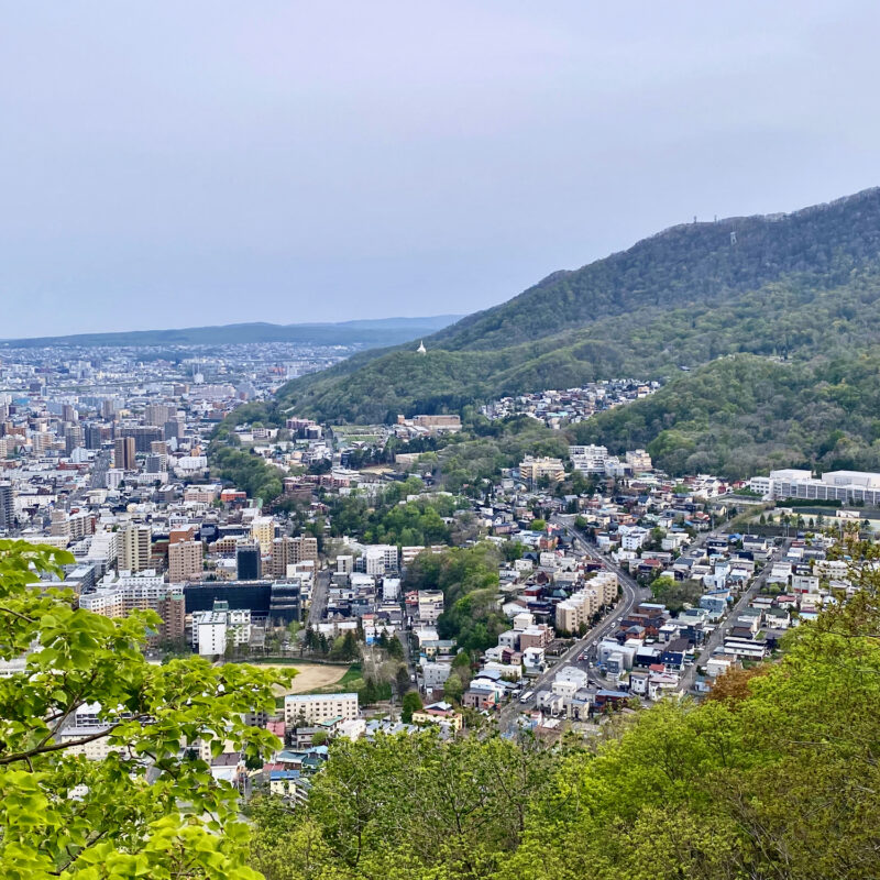 Mt. Moiwa from Mt. Maruyama
