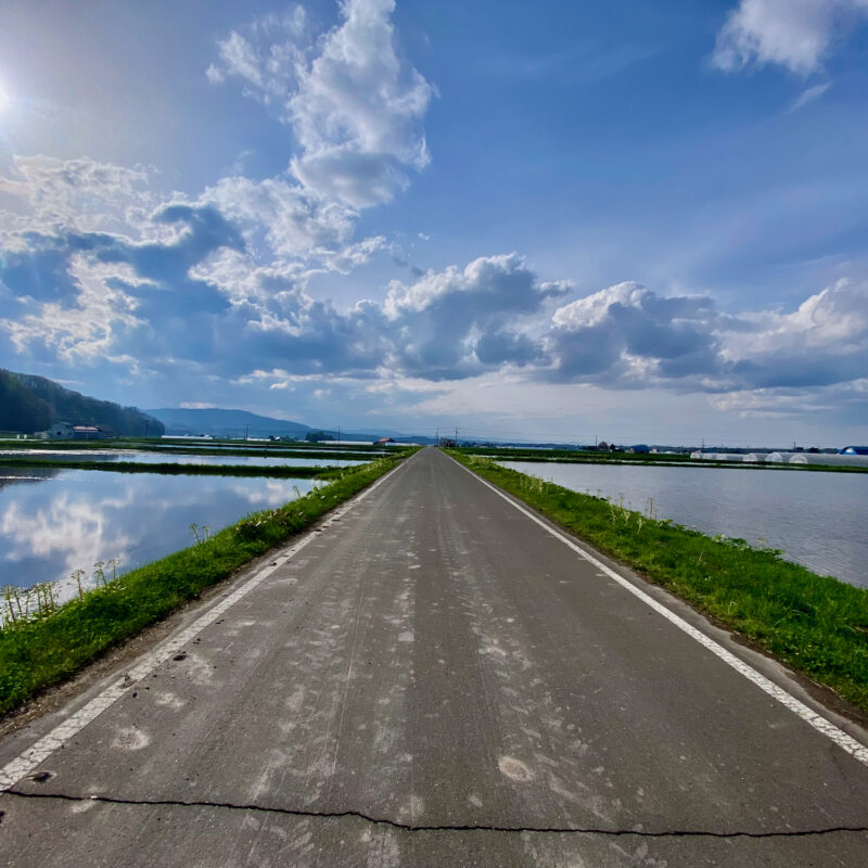 Biking Through Rice Paddies