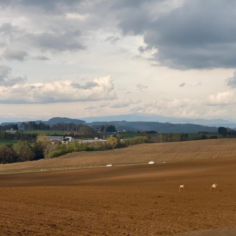 Plowed Fields in Biei