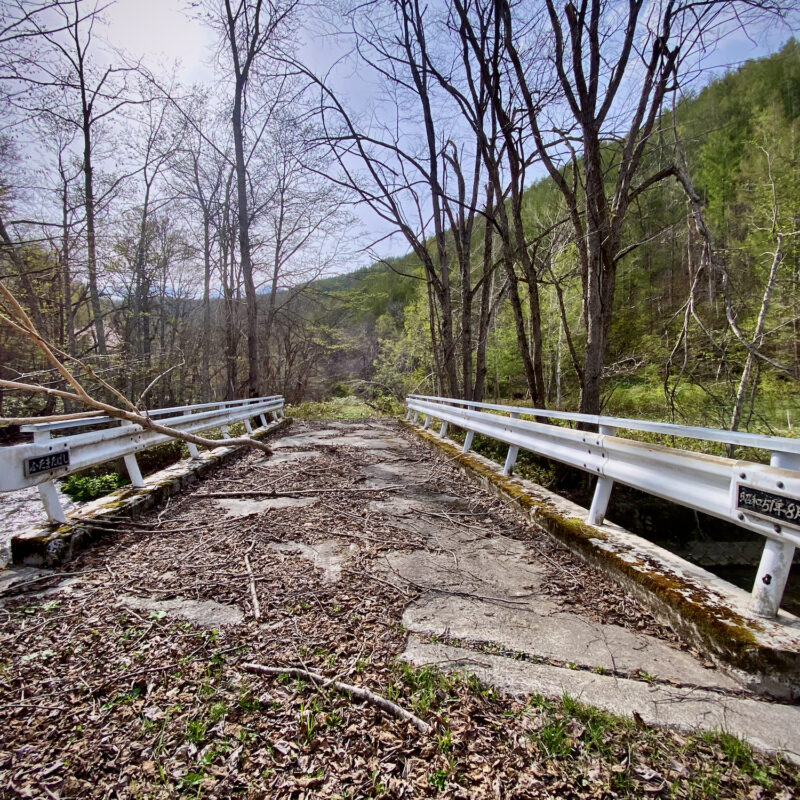 Lost Bridge