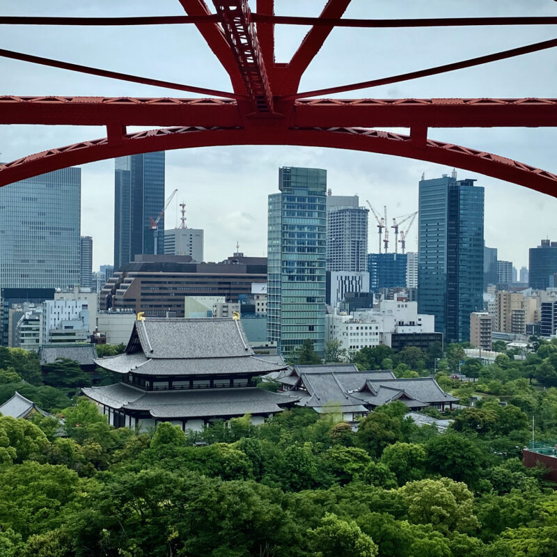Descending Tokyo Tower by Foot