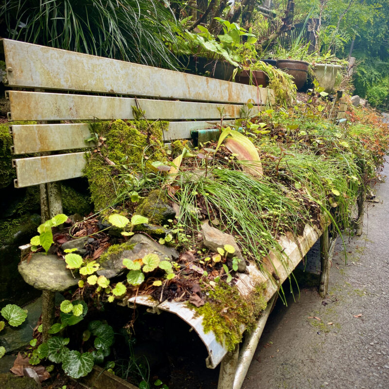 Overgrowth