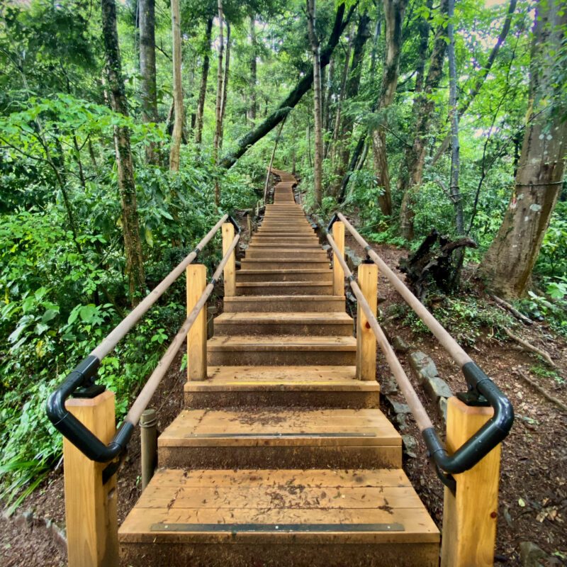 Stairs Up Takao