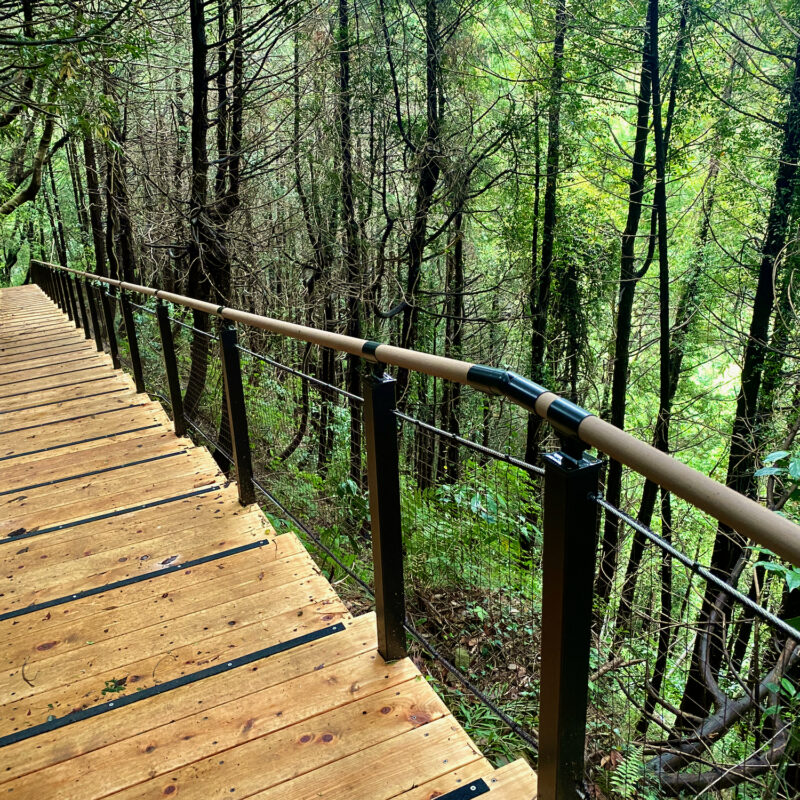 Descending On the Inariyama Trail