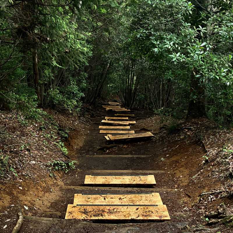 Stairs a Bit Jagged