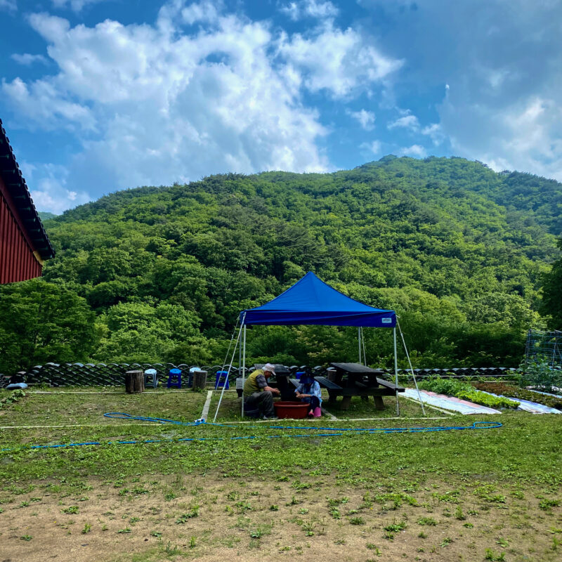 Life at Jungheungsa