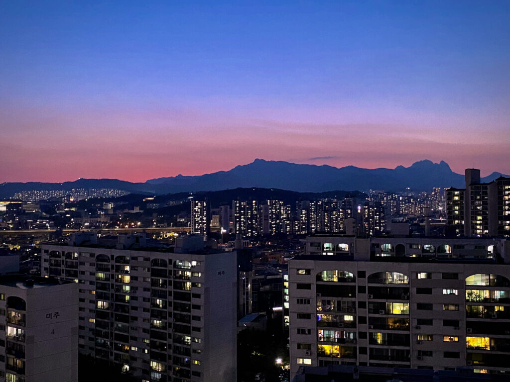 Seoul Survivor