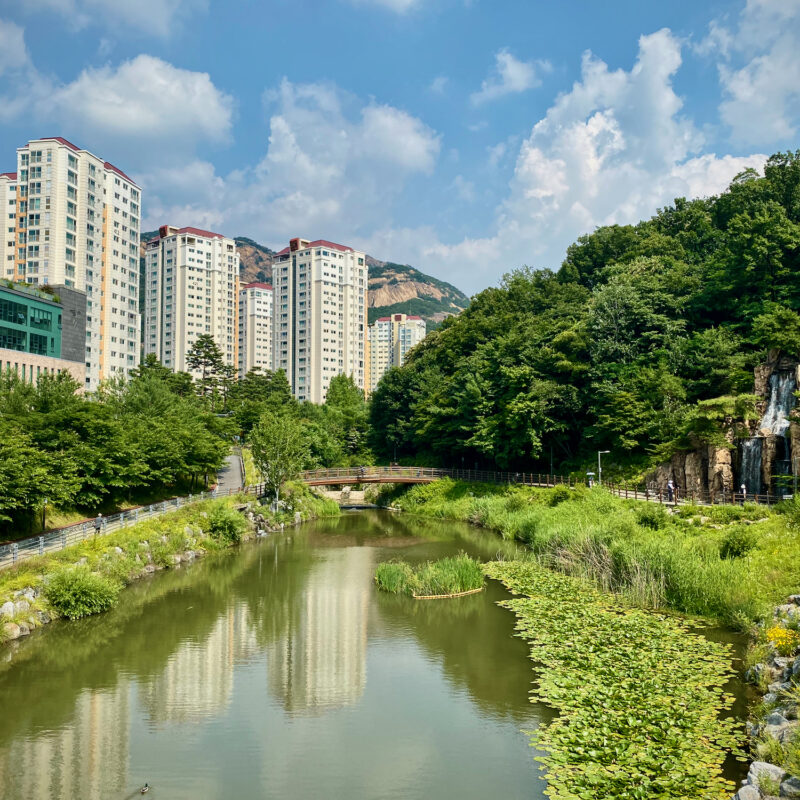 Tranquil City View