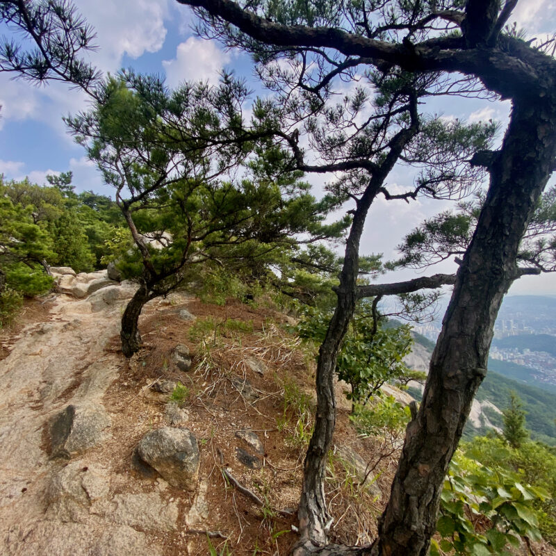 Ridgetop Path
