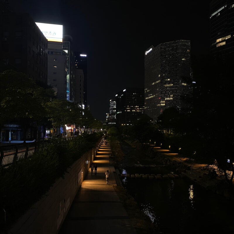 Night Paths