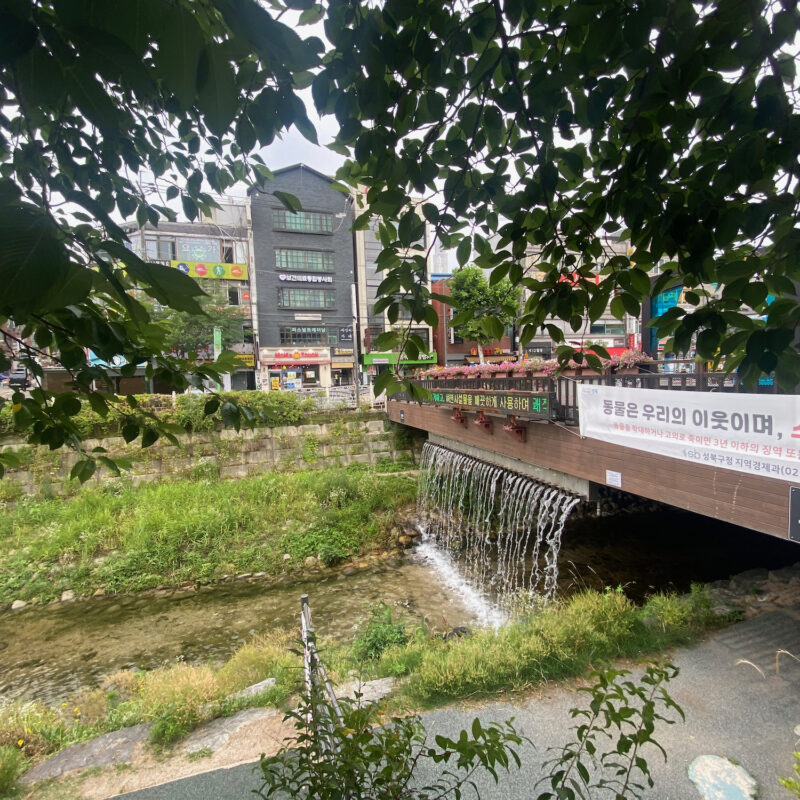 Serene Path for a Run