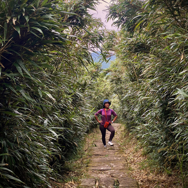 Traipsing About the Bamboo
