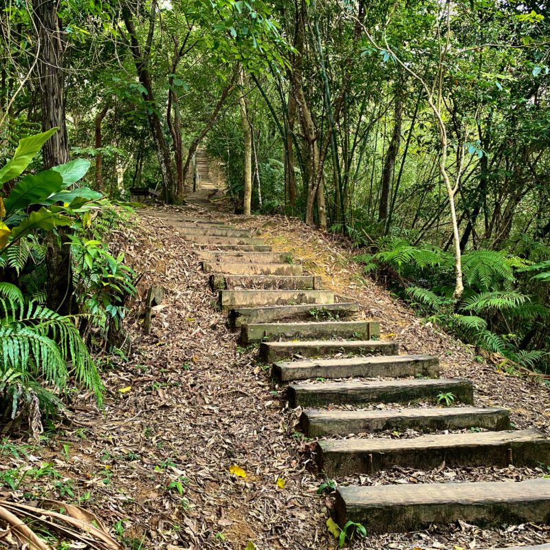 Hiking Steps in Hemeishan