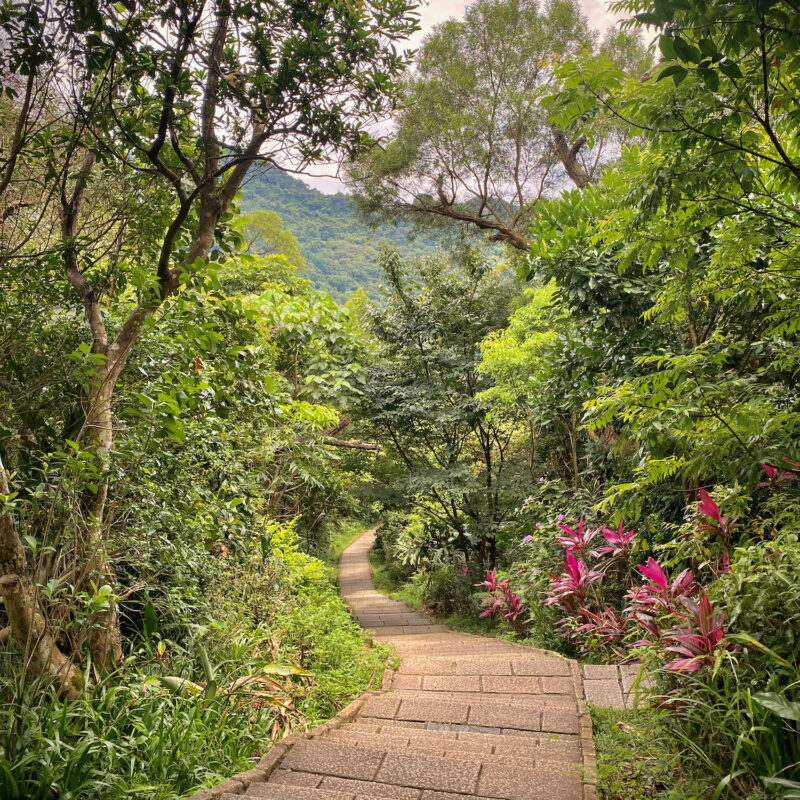 Snaking Paths Away from Elephant Mountain