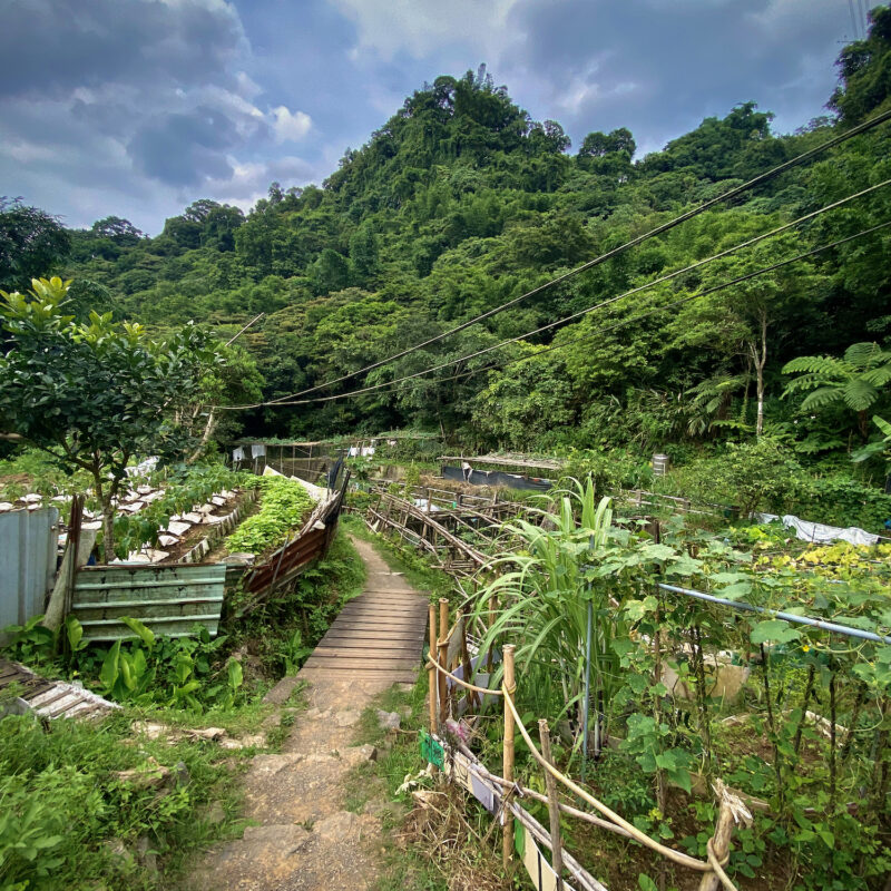 Stumbling Upon Some Agriculture