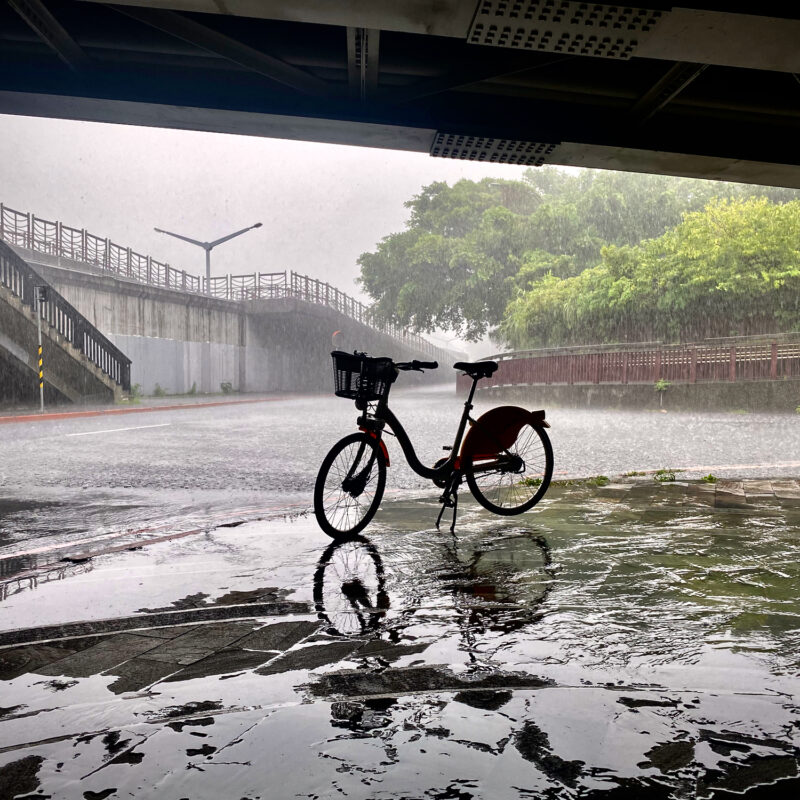 Biking Gone Awry