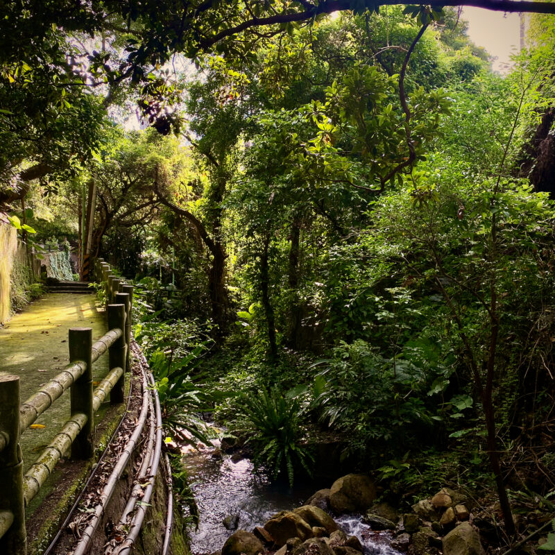 Beitou Valley Backroads
