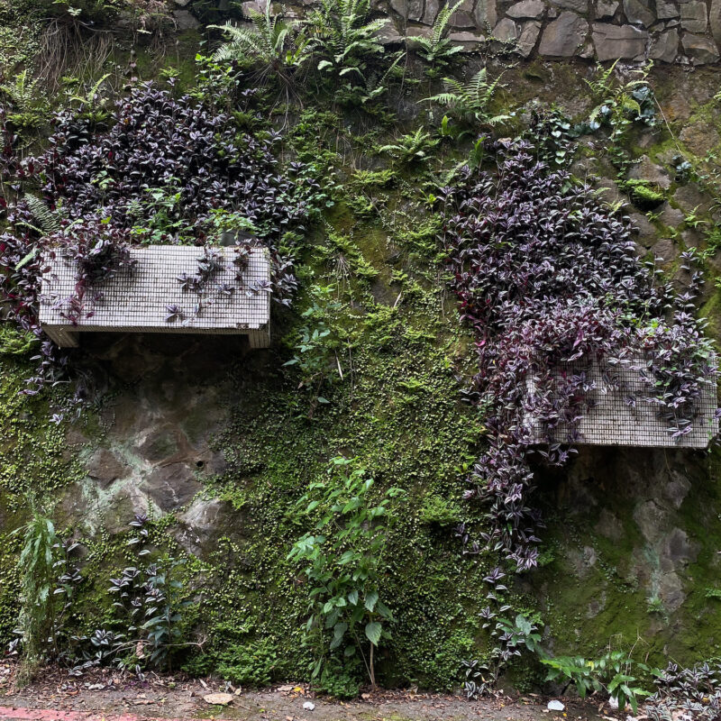 Beitou Valley Backroads