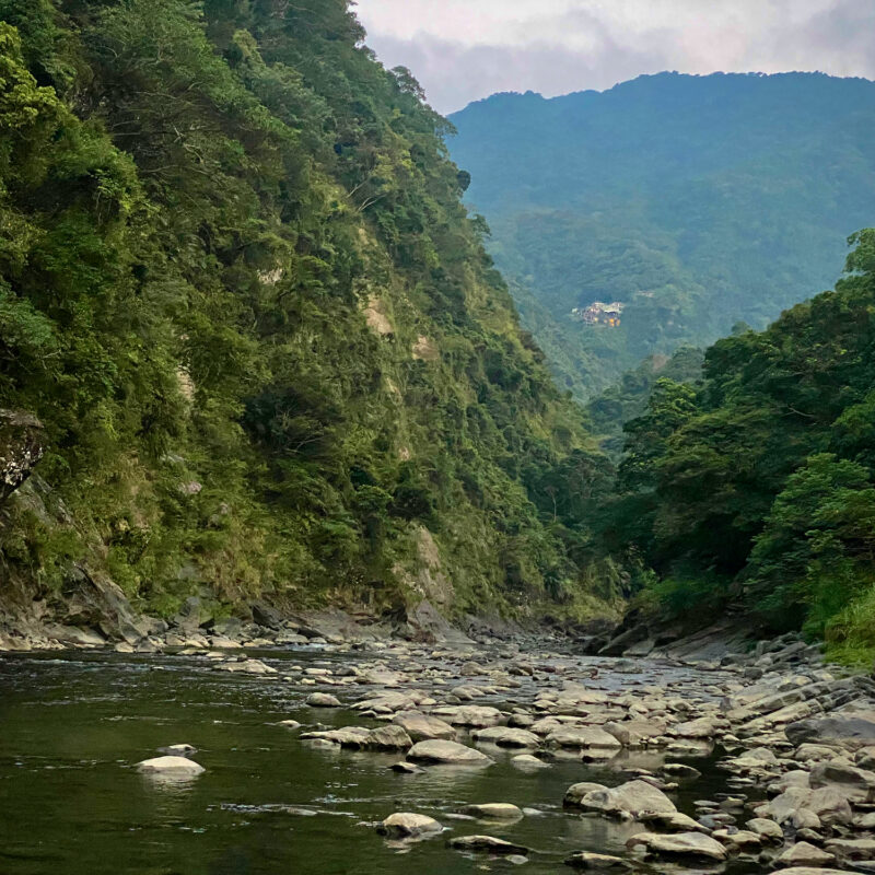 Gazing Up the Nanshi