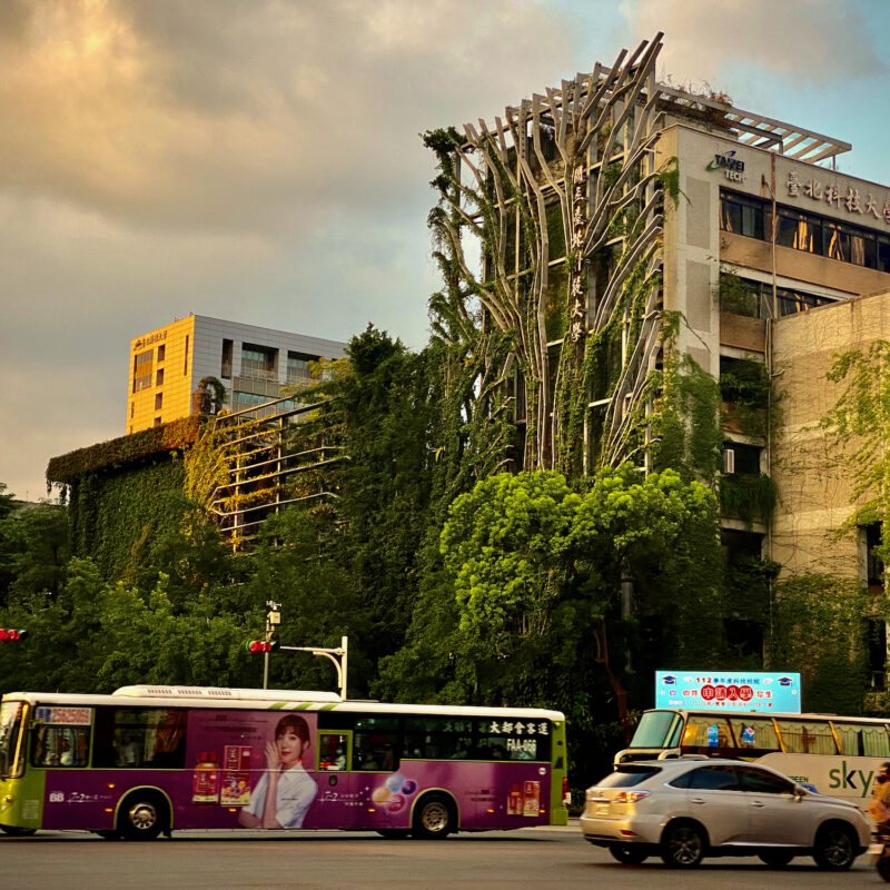 Creeping Vine Architecture