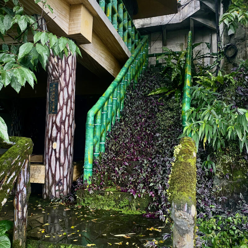 Ruins Gone to Nature