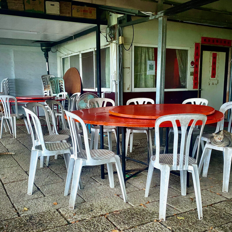 Cafe Cats