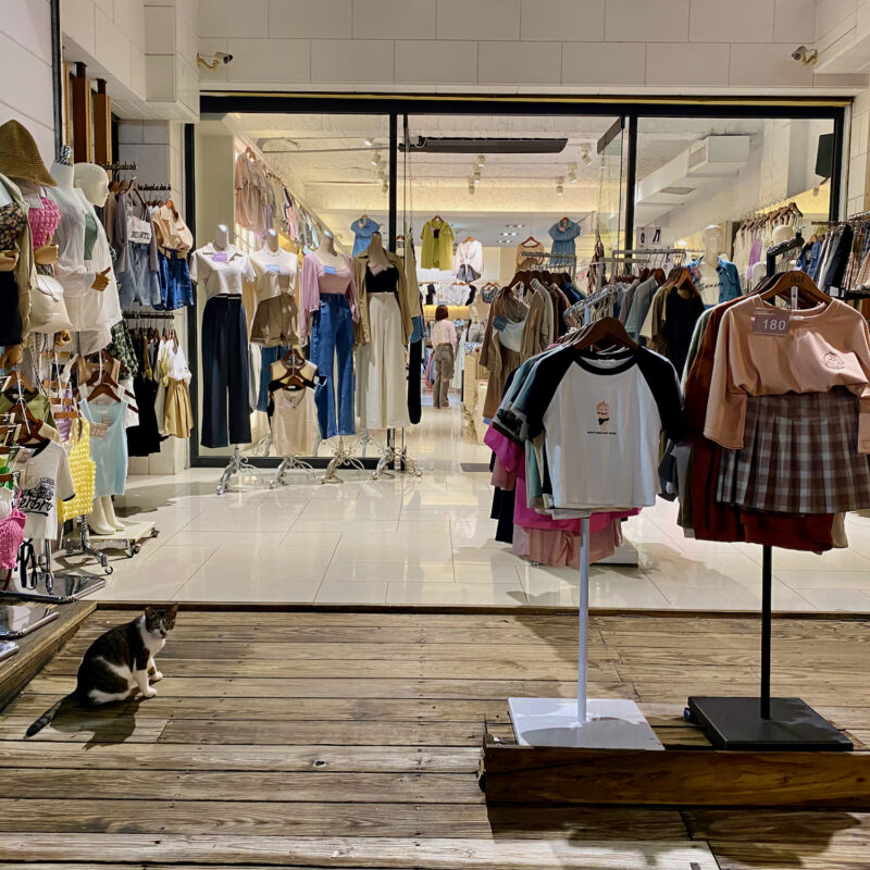 Street Cat and Street Clothes