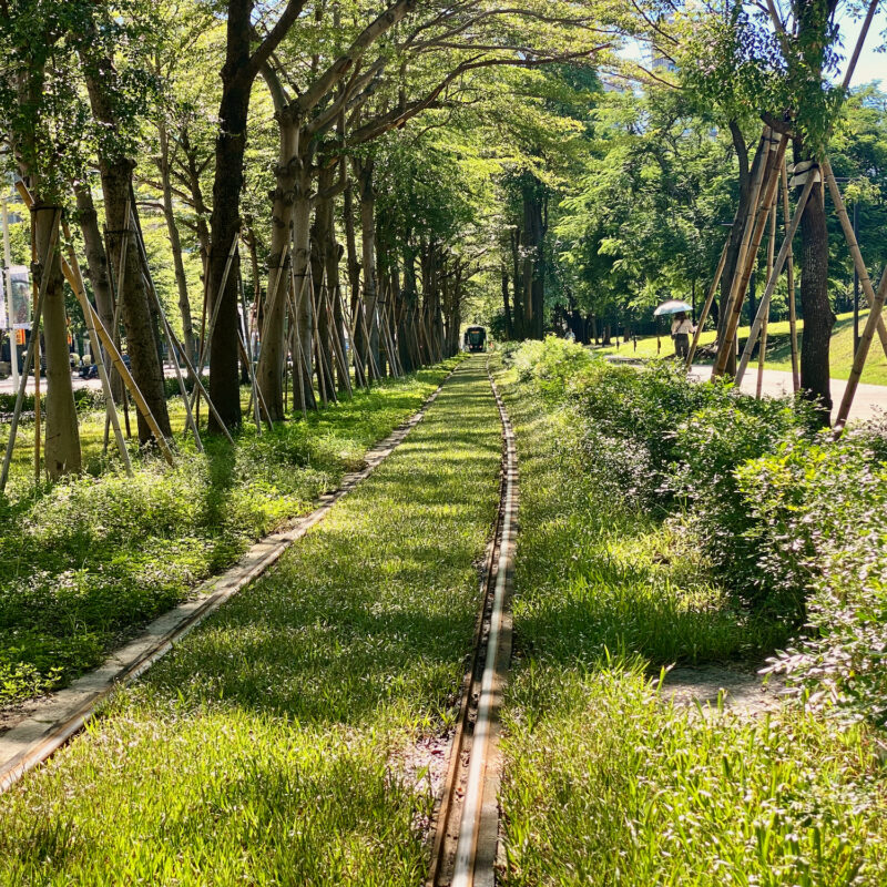 Tree Tunnel Tram