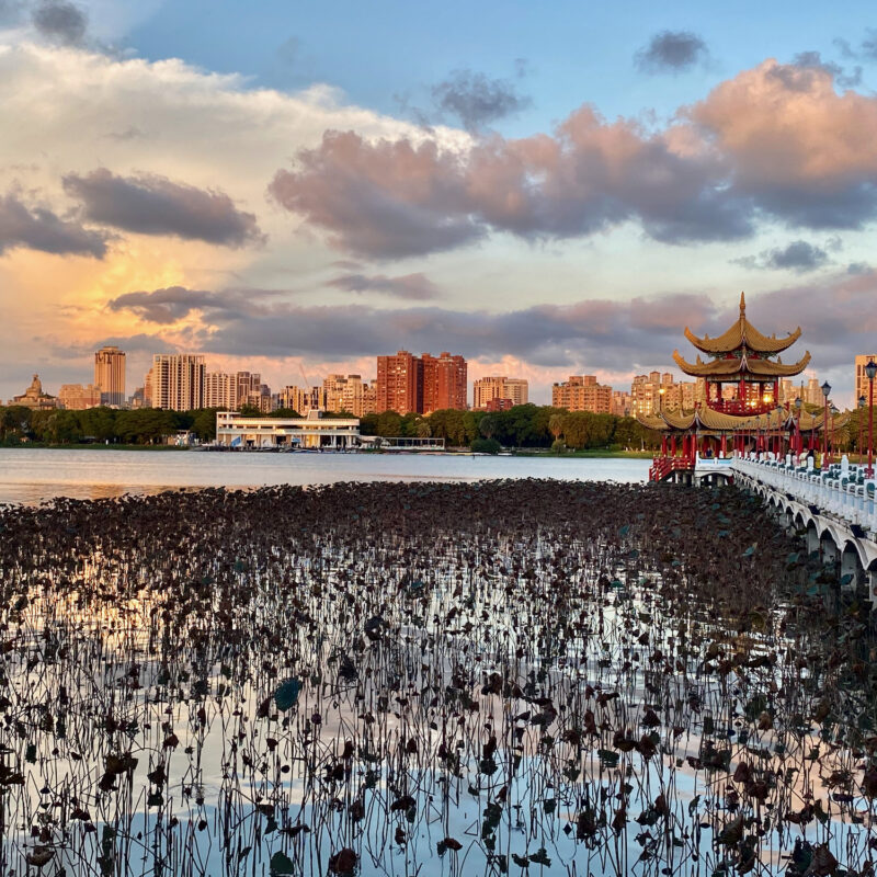 Wuliting and Lotuses Out of Season