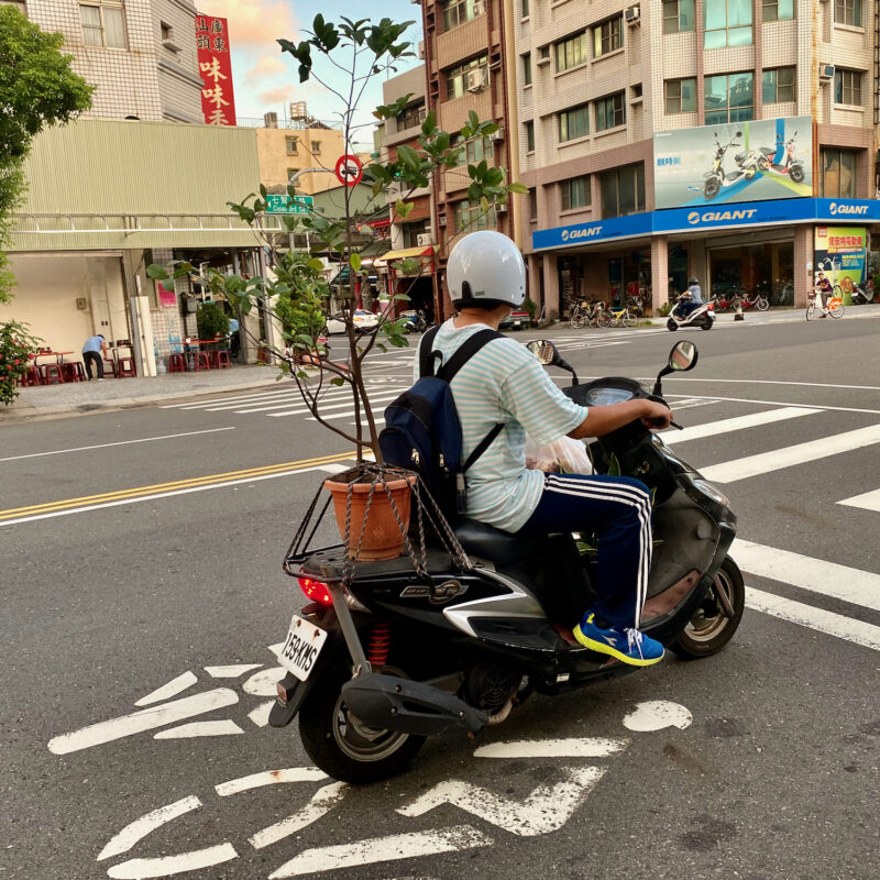 Scootering a Plant Around