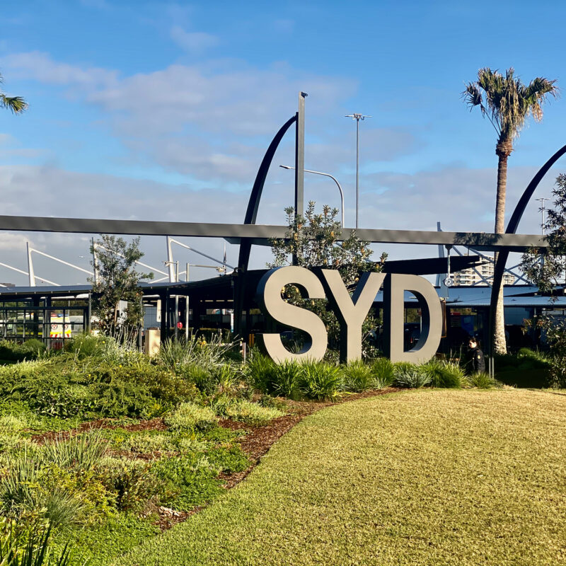 Sydney Airport, 17 Hours Later