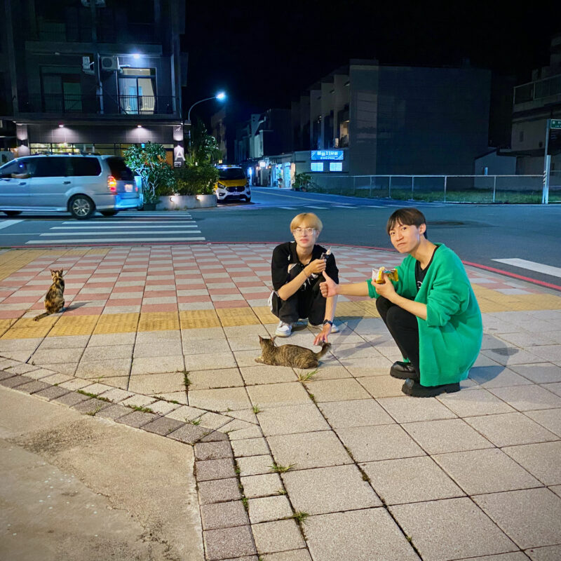 Stray Cat Lads