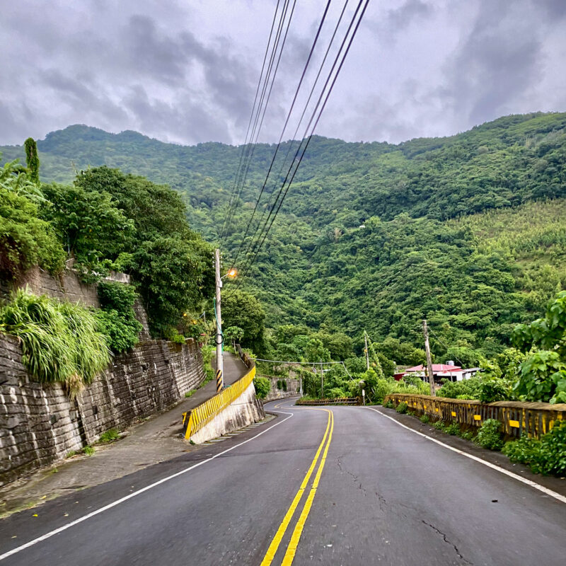 Hilled Foresty Roads