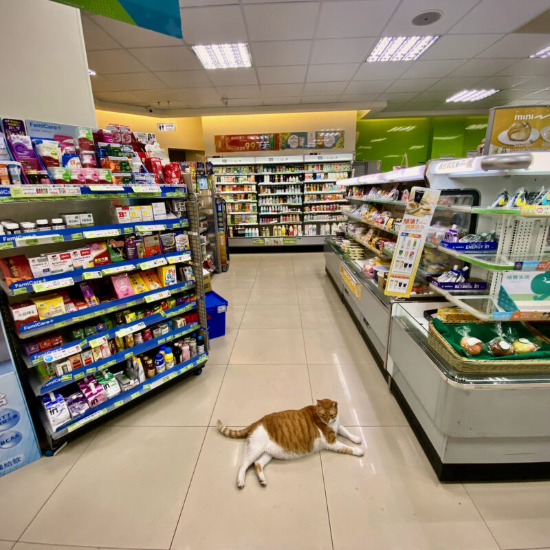 Family Mart Kitty