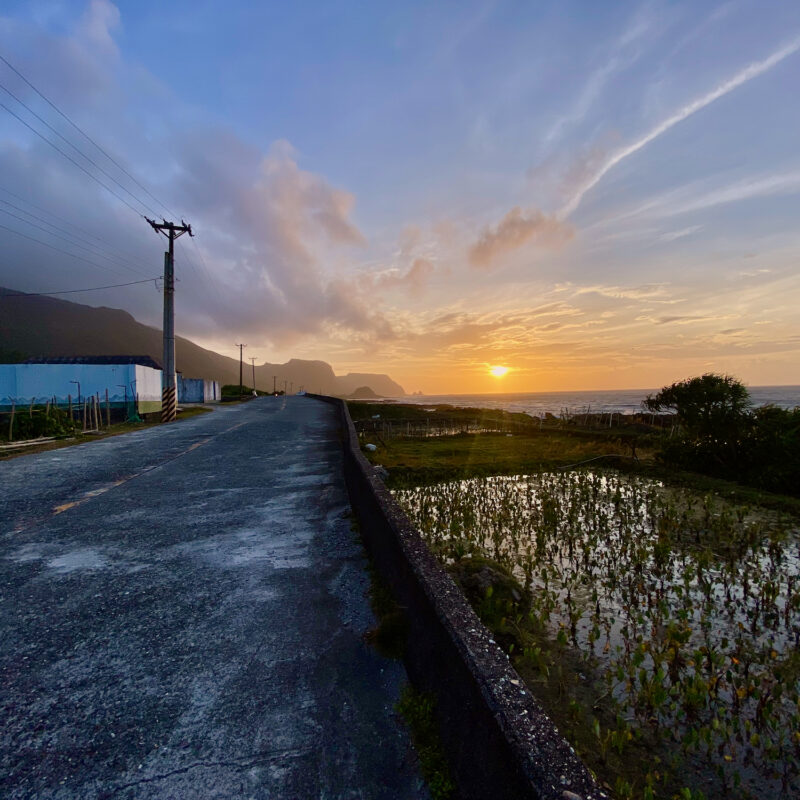 Taro Ponds at Dusk