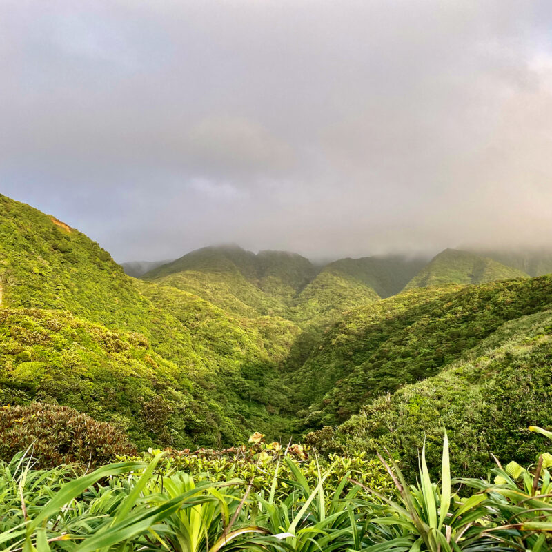 Lanyu Interior