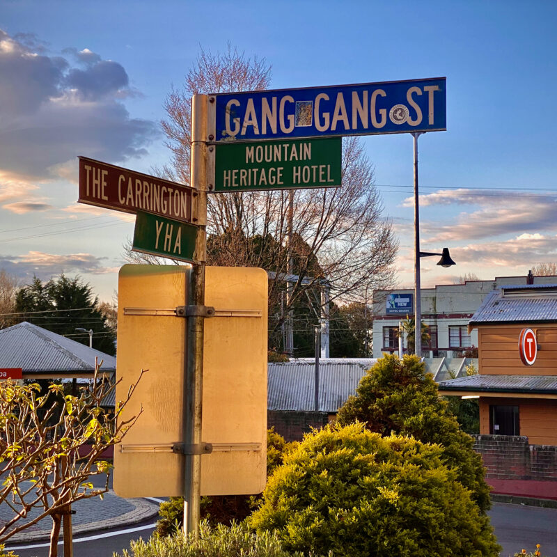 Gang Gang Life