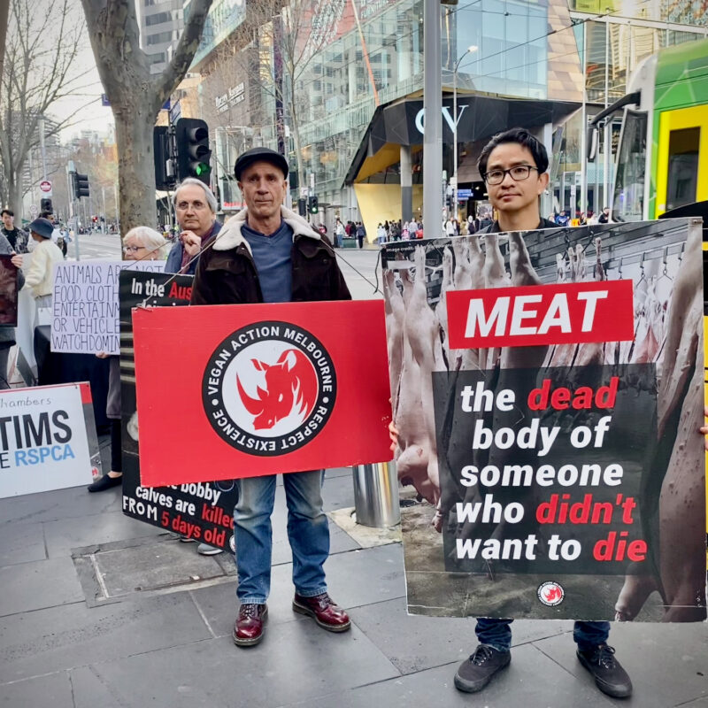Vegan Protestors