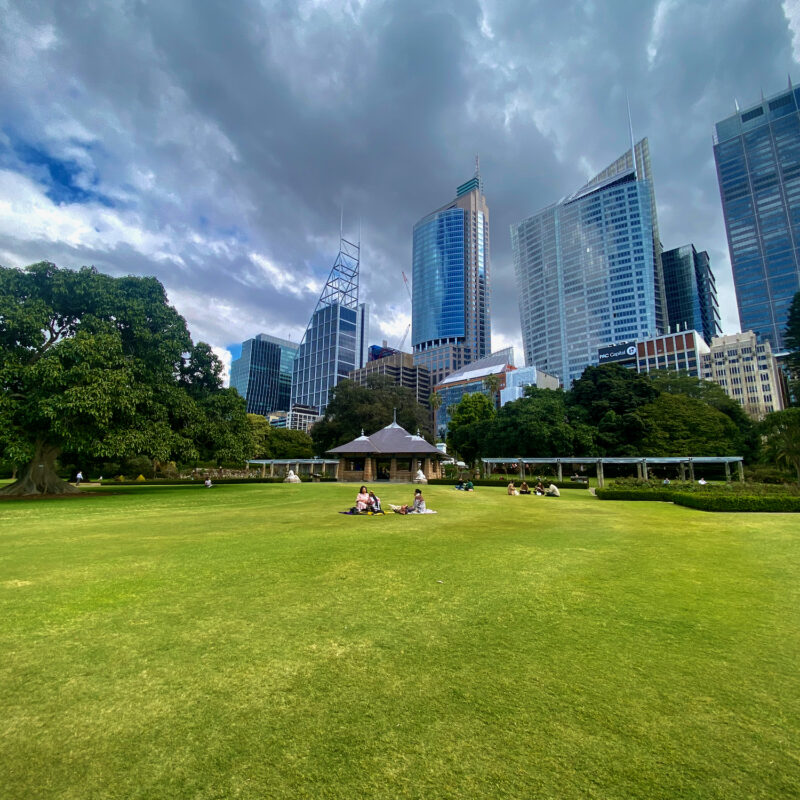 Lawn at the Royal Botanic Garden