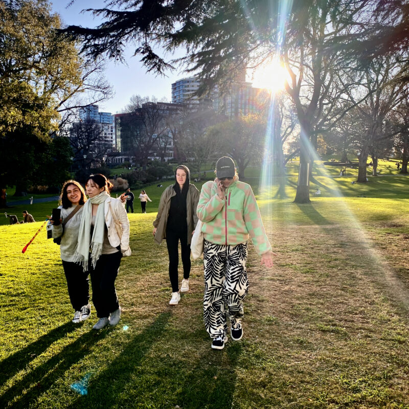 Golden Hour in Flagstaff Gardens