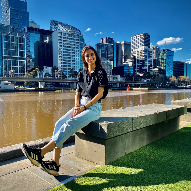 Shayam and the Skyline