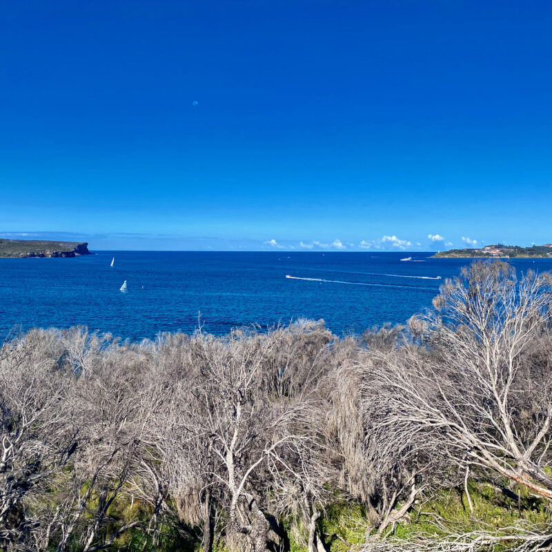 Ocean Outlook