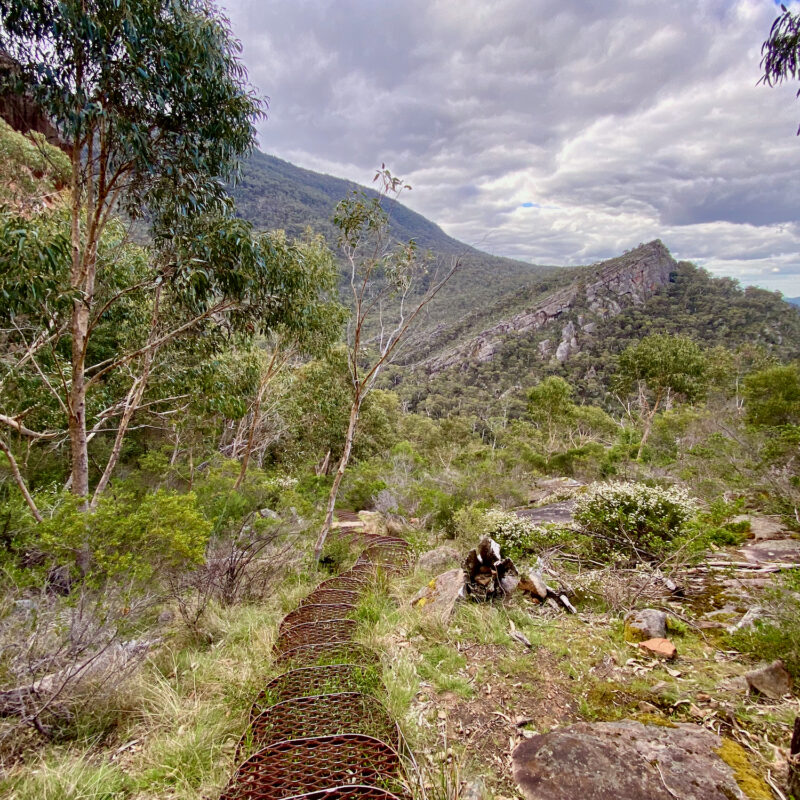 Grate Trail Down