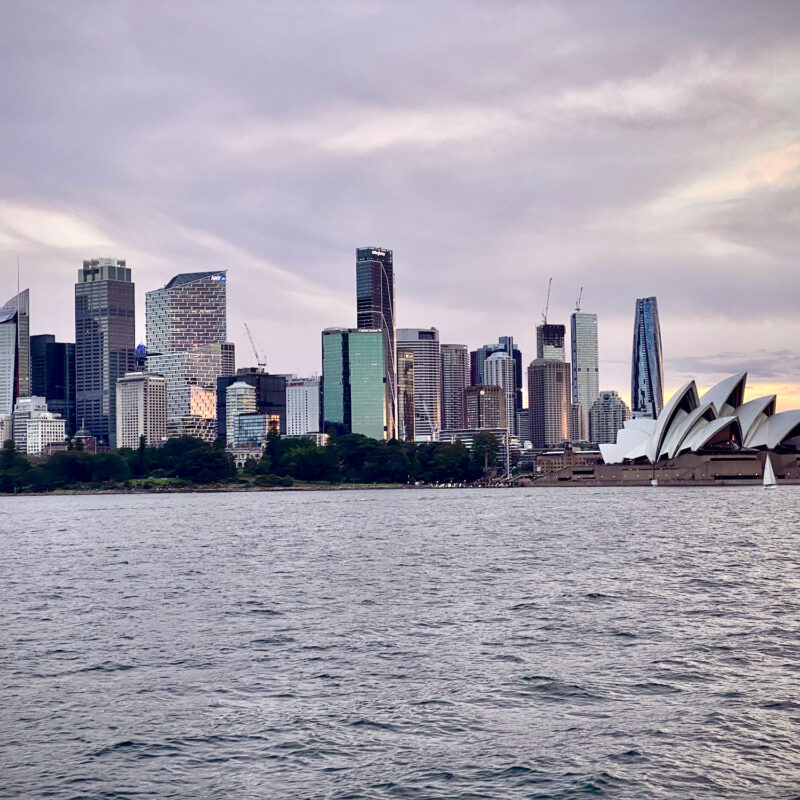 Dusky Skyline