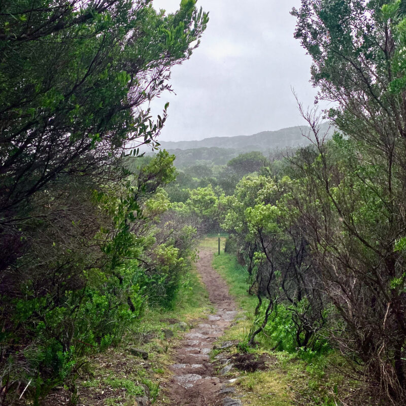 Great Ocean Walk