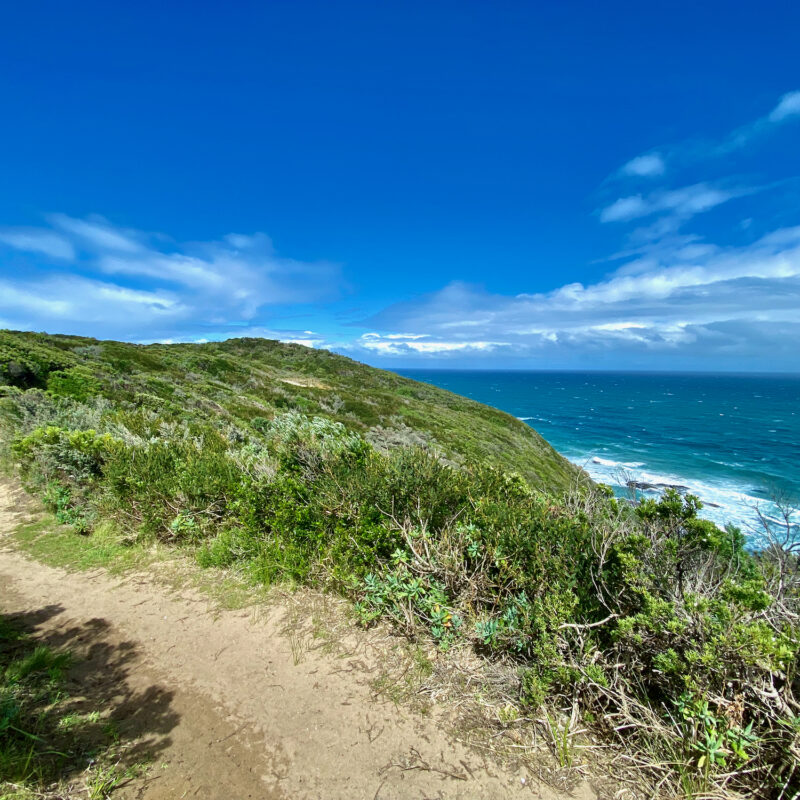 Stark Ocean Views