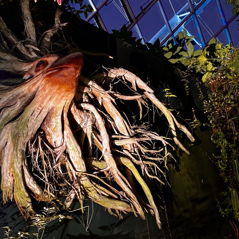 Bizarre Bird