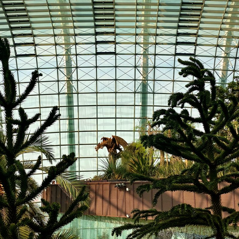 Flower Dome Dragon
