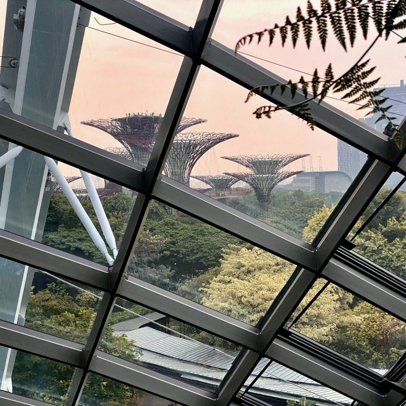 Glancing at Supertrees